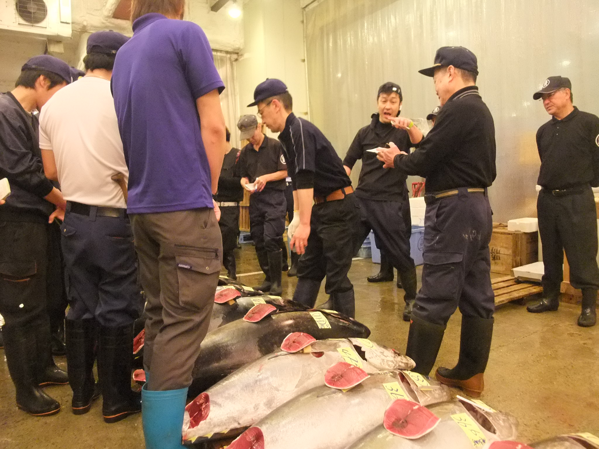 丸魚水産株式会社イメージ
