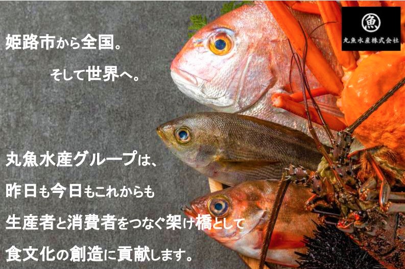 丸魚水産株式会社イメージ
