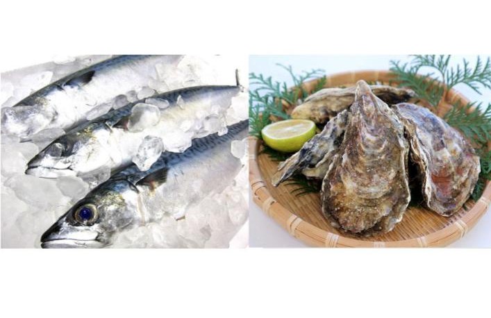 丸魚水産株式会社イメージ2